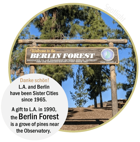 Griffith Park Explorer: Berlin Forest