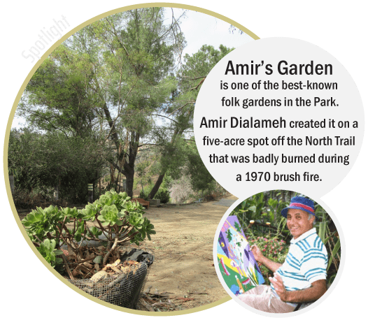 Griffith Park Explorer: Amir's Garden